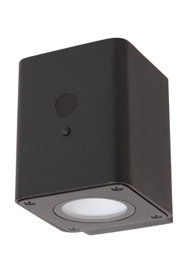 Lucide RAMIN - Wall light Indoor/Outdoor- Solar - LED Dim. - 1x1W 2850K/3150K - IP54 - Day/Night Sensor - Black - turned off